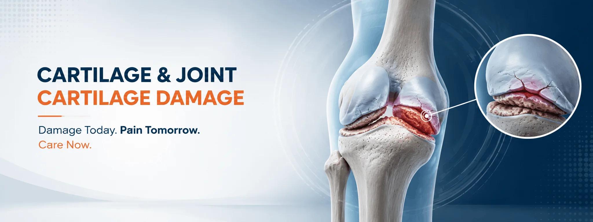 Cartilage Damage — diagnosis and treatment in Jaipur